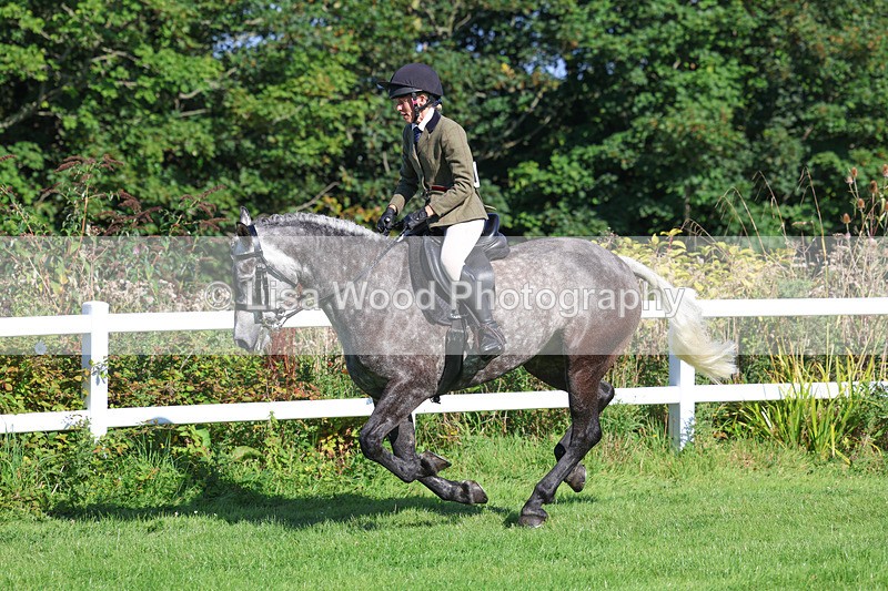 3E7A7854 - Class 2: Open Working Hunter pony