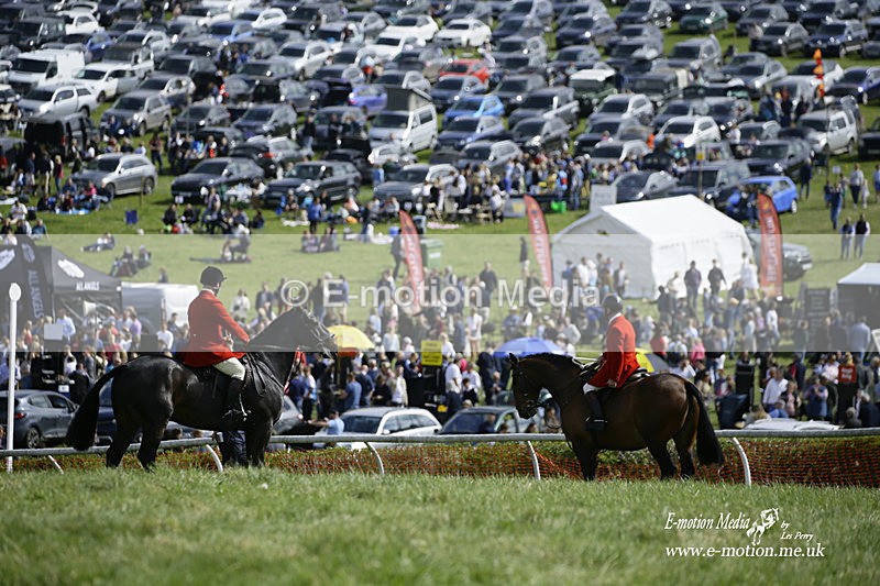 PtP 180422 8 - Old Berkshire PtP Lockinge 18/04/22