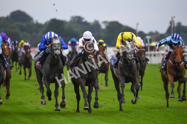 yr21082021r2-15 - Race 2 2.25pm Sky Bet Melrose Stakes