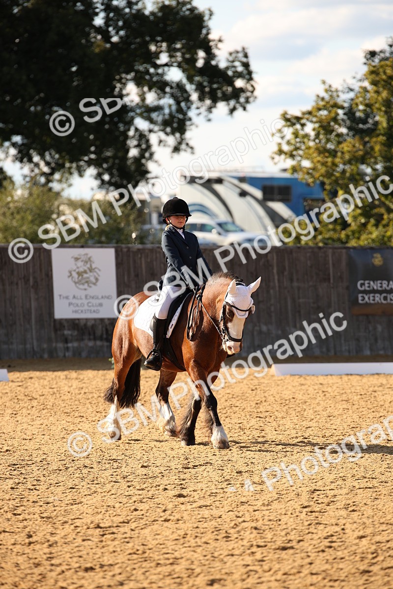 SBM_28337 - D11 - Small Tour Championship - Prelim 13