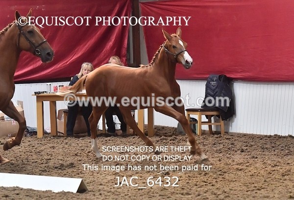 JAC_6432 - 19 Luca