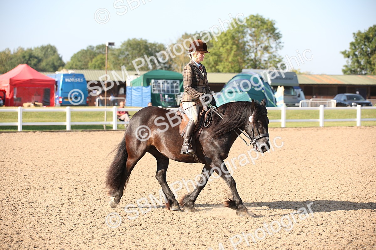 SBM_00645 - Class 14 Ridden M&M Wildcard