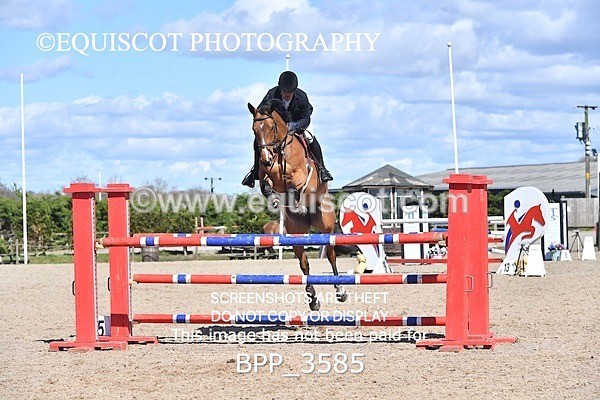 BPP_3585 - CLASS 7 Senior Foxhunter/ 1.20m Open