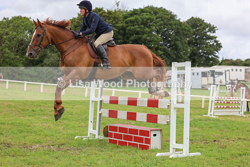 3E7A8033 - Class 7: Senior Newcomers/1.10m open