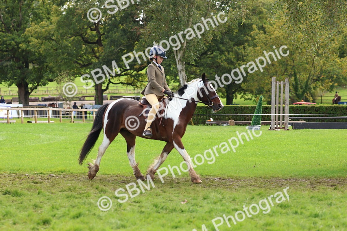 SBM_45187 - S27 - Young Veteran Ridden