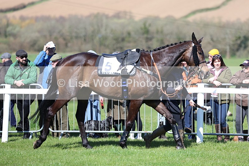 3E7A4869 - Race 1 Hunt Members
