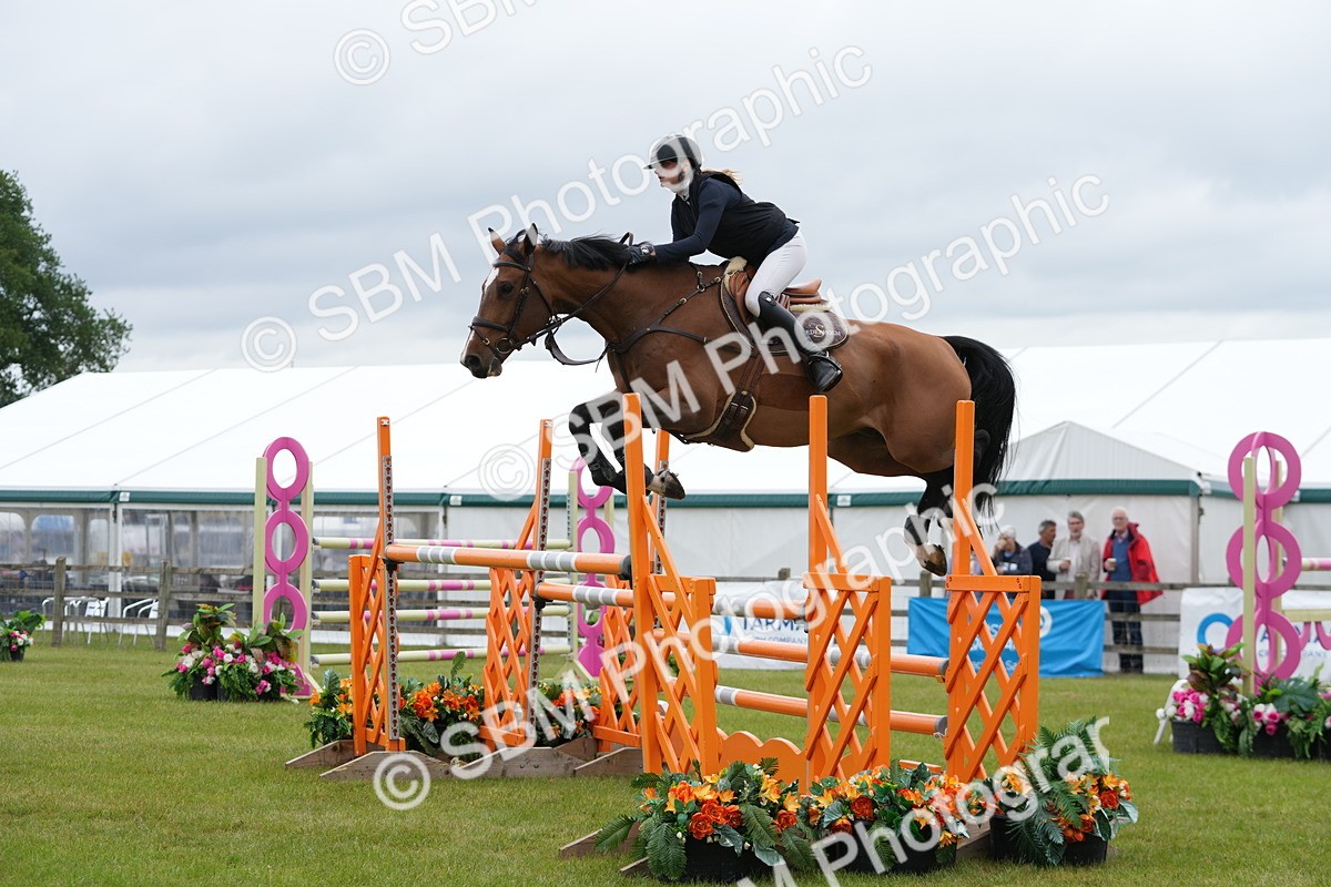 SBM_03002 - Class 201 - British Horse Feeds Speedi Beet Horse of the Year Show Grade  C
