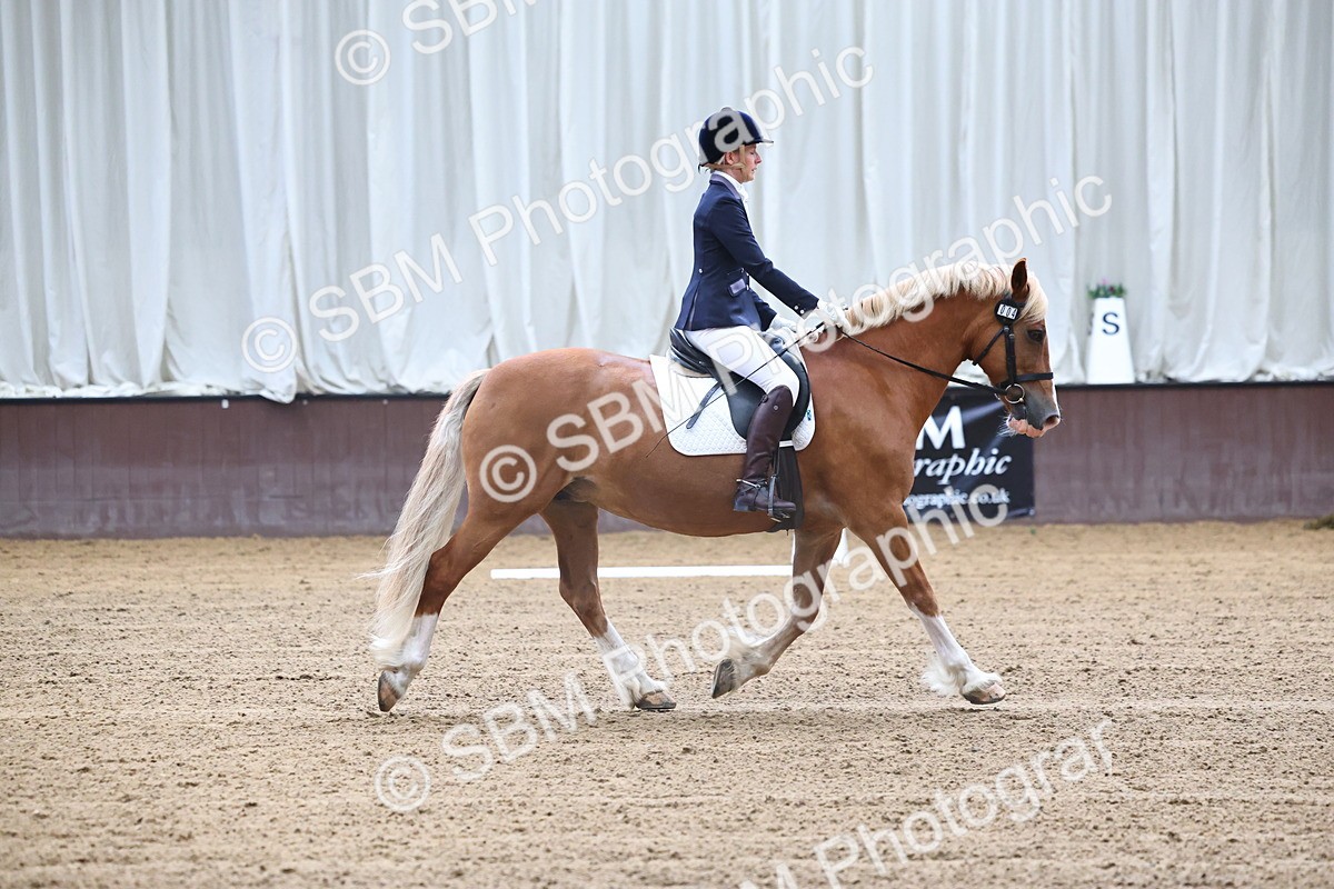 SBM_004102 - Class 1 - Intro 2-3