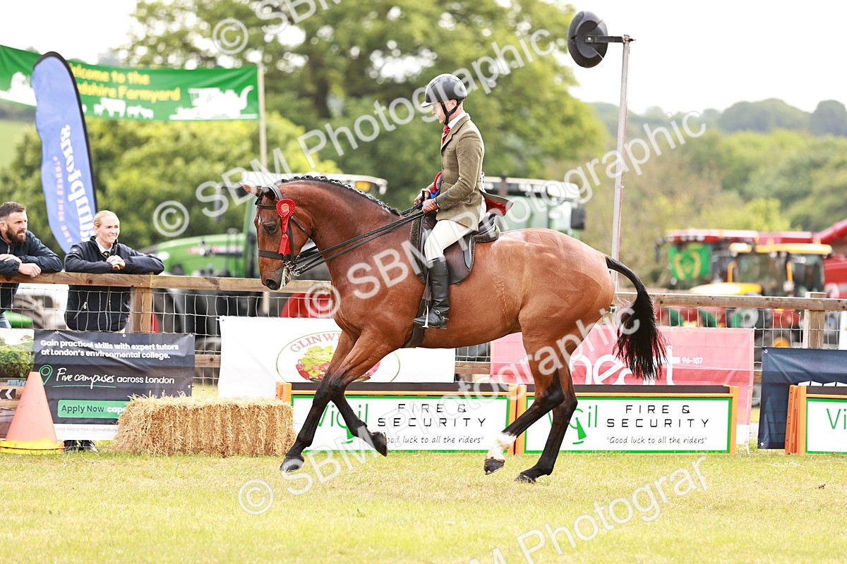 SBM_11589 - Class 81-84 - RIHS Ridden hunters Inc Ladies Hunter