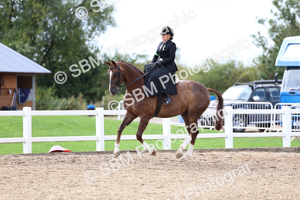 SBM_03422 - Class 24 - SSA Concours d'elegance (any age)