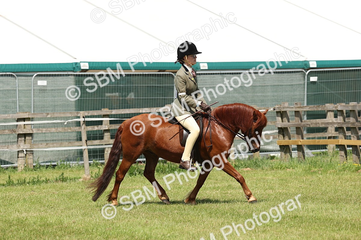 SBM_06800 - Class 26-30 - Mountain and Moorland Ridden
