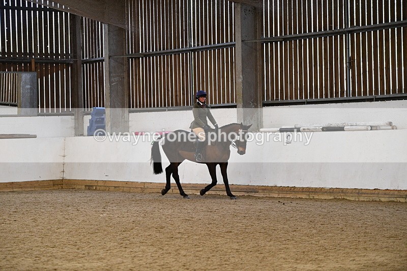 WJ5_7683 - Class 13 Ridden Part Breed