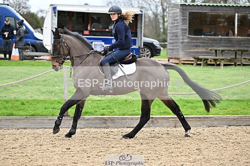 250201A-101544-00181 - Cls 01 Local Horse 90cm