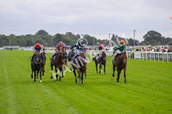 220824-Race 1-Celandine-6566 - Race 1 1.50pm Sky Bet Lowther Stakes
