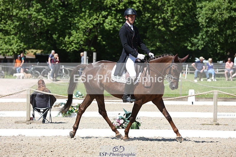 230526-113058-06072 - 153-GAMEBIRD-Max_Warburton-WEDTrotUp+DR