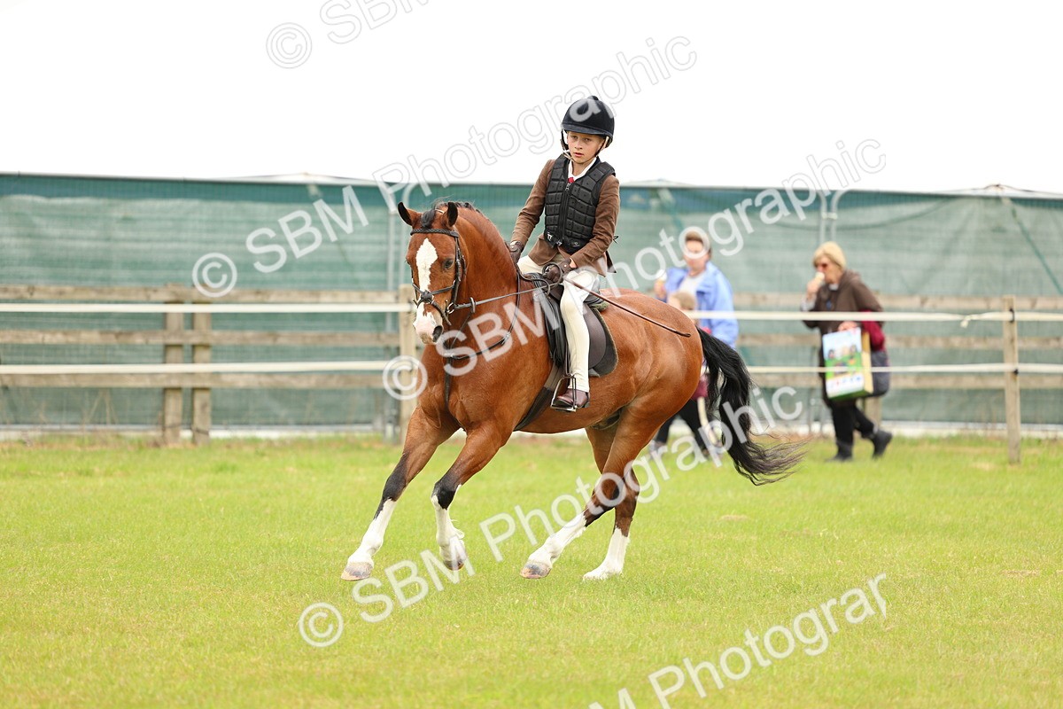SBM_10227 - Class 44-45 - LIHS BSPS Open Nursery and Cradle Stakes