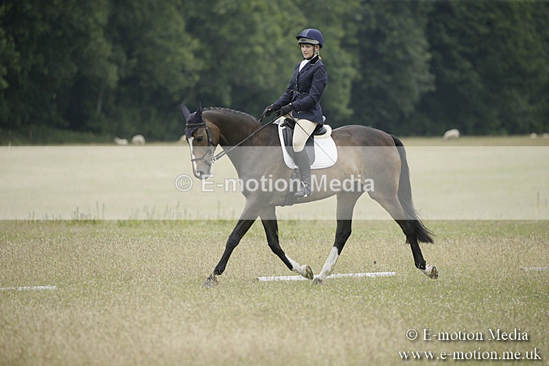 B230619-0887 - Bourne Valley Riding Club Summer Show 23/06/19