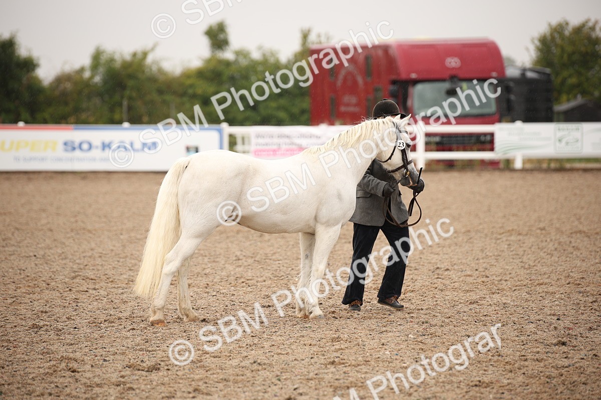 SBM_20705 - Class 705 - IH  Combination 65+