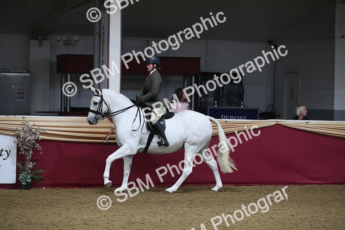 SBM_10437 - Class 102 Equitation (best rider) Adult