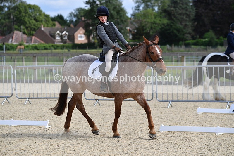 WJ5_7515 - Time 16:25 to 16:37