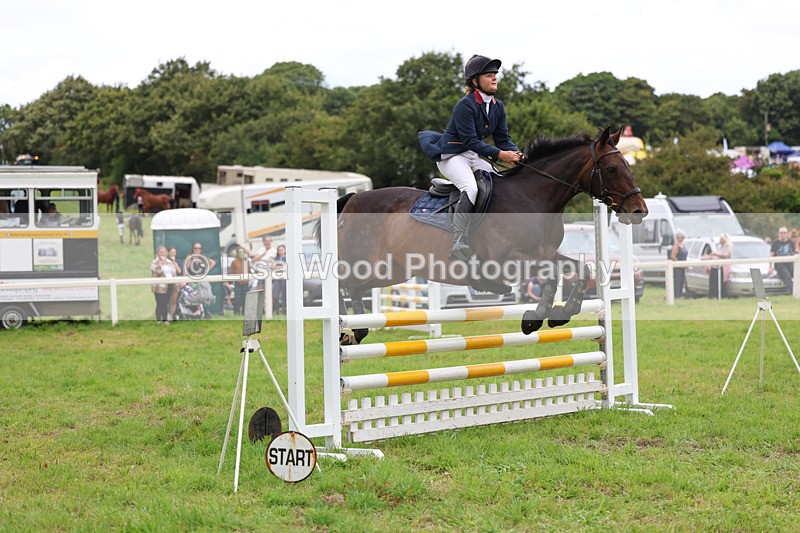 3E7A7183 - Class 5: Senior British Novice/90cm open