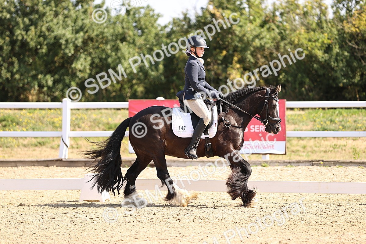 SBM_009179