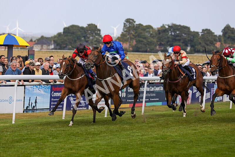 310824-Race 4-Spirit Of Applause-1561 - Race 4