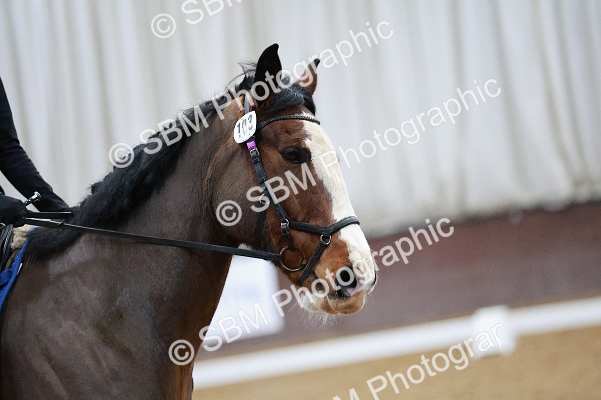SBM_000138 - Class 17-6-18 - TQ U21 Novice 3Novice 3-MQ Open Prelim 1