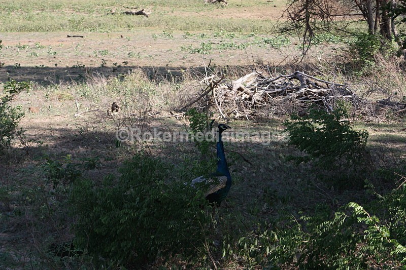  - Travel and culture