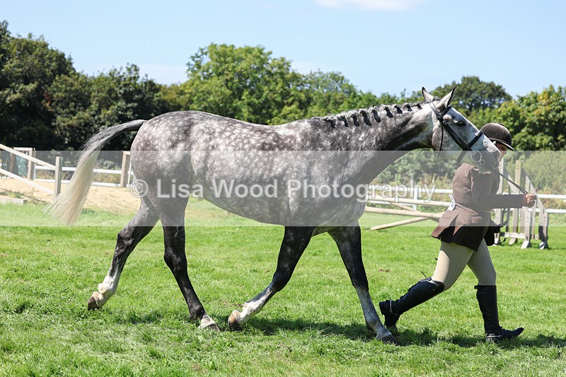 3E7A9064 - Class 6: Open Working Horse