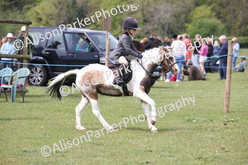 20260426-2962 - Class 33 - Best Pony 14.2hh and Under