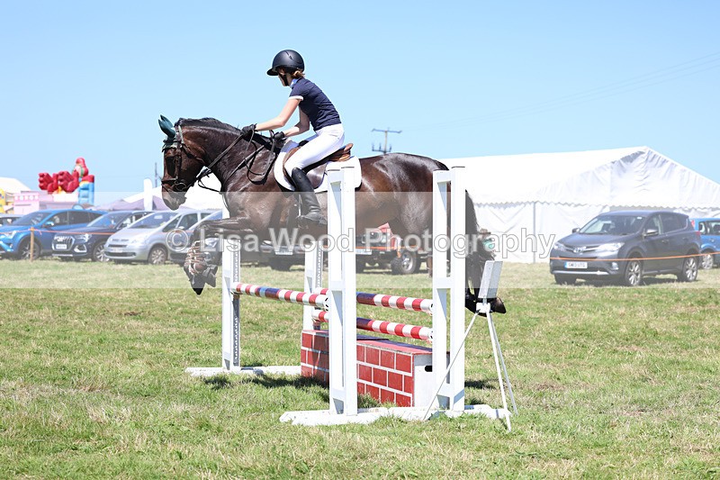 3E7A5534 - Class 9: Senior British Novice/90cm open