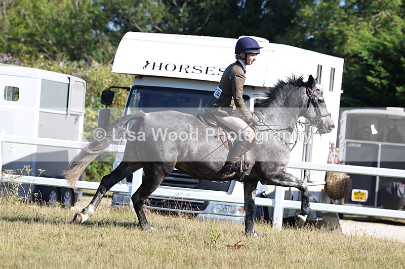 3E7A5529 - Class 3: Working Hunter 70cm