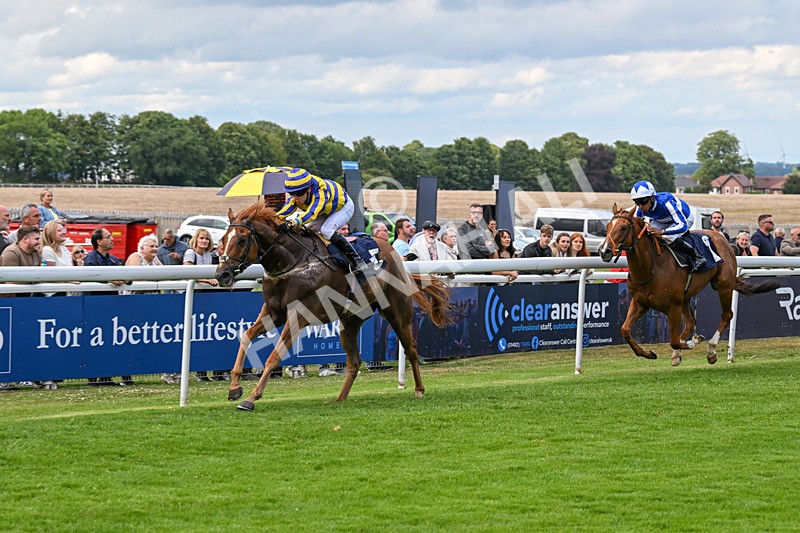 240625-Race 7-Azuinthejungle-9357 - Race 7