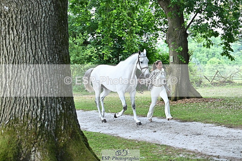 250521A-170340-01496 - C-283-Laura.Collett-COOLEY.ICEAGE