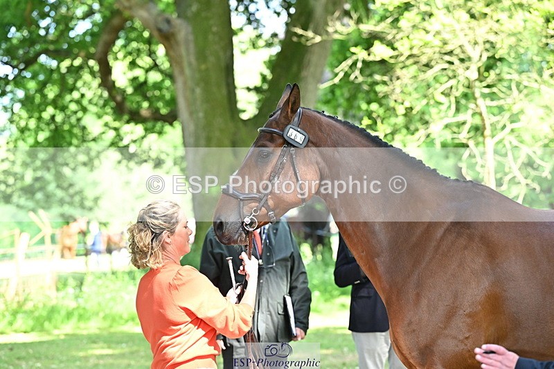 250521A-153550-00623 - B-369-Ali.Wilkes-ROCK.THE.CASPAR