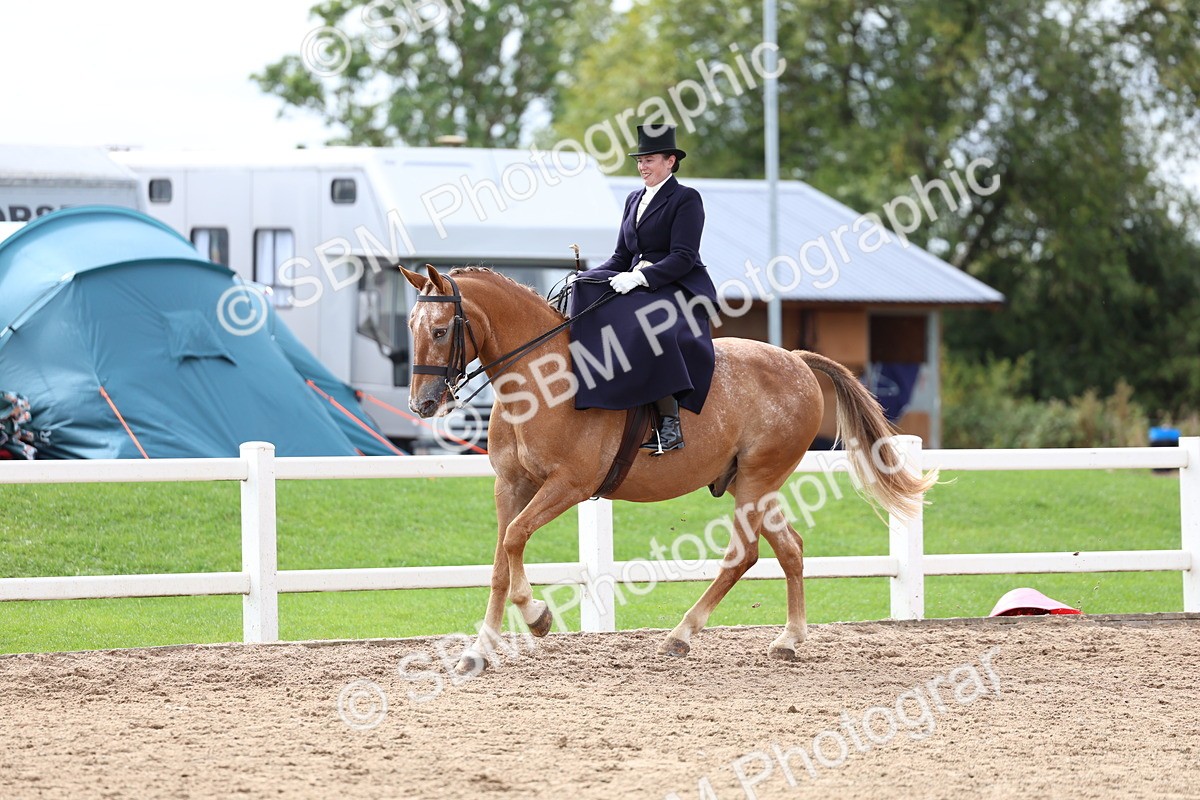 SBM_03420 - Class 24 - SSA Concours d'elegance (any age)