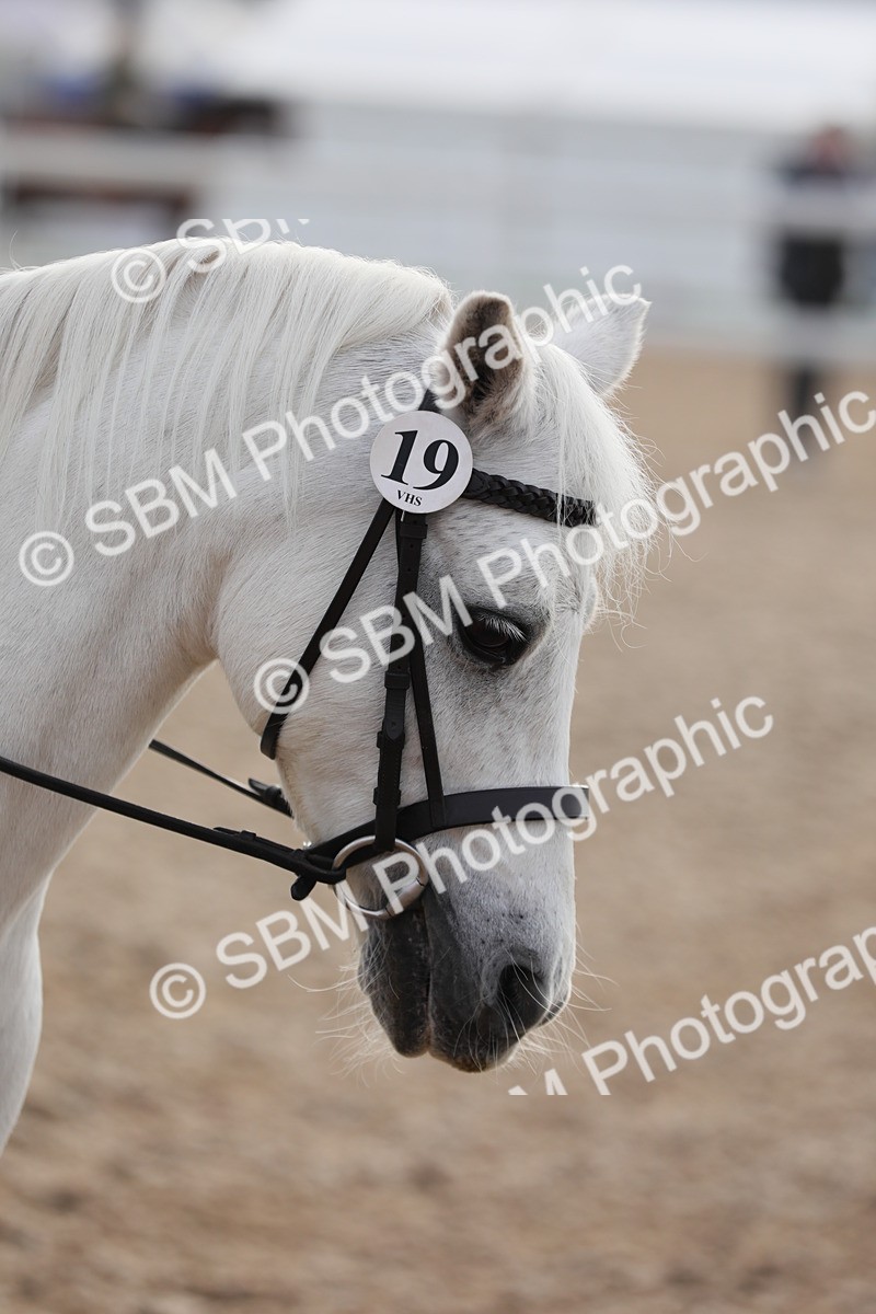 SBM_09648 - Class 301 Ridden M&M -Small Breeds
