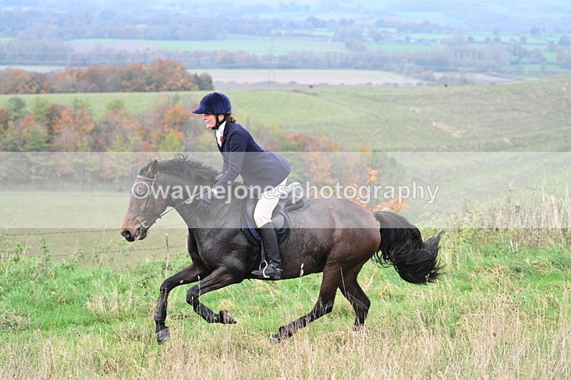 WJ7_0014 - Camera 1 & Last fence