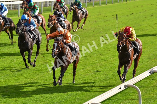 yr07102022r3-25 - Race 3 3.15pm British EBF £100,000 2yo Series Final (Colts and Geldings)