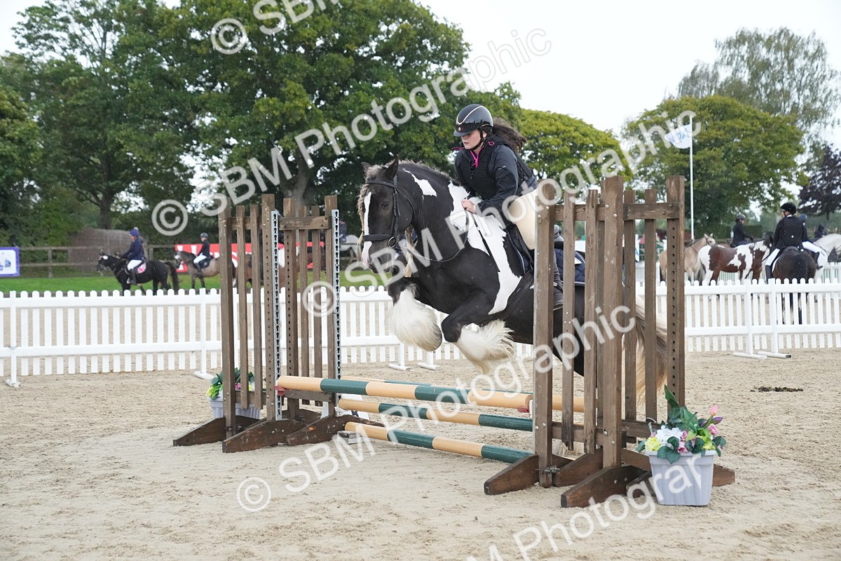 SBM_01582 - J54 - Clear Round 50cm