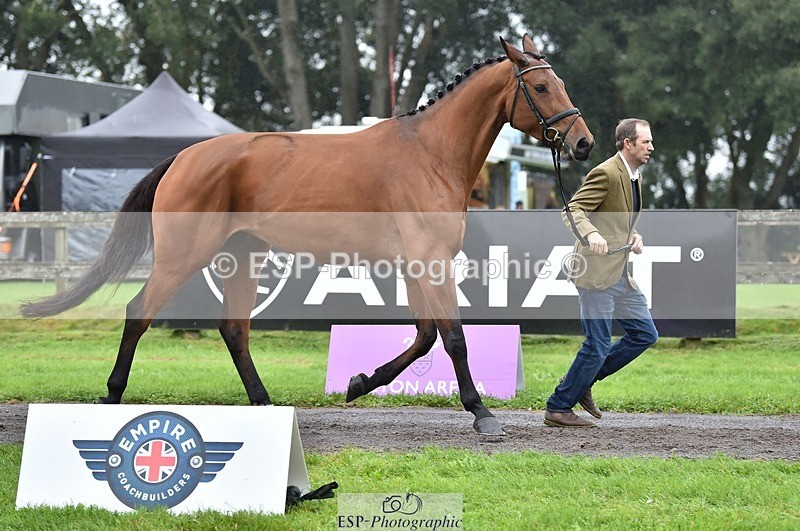 231018-122704-00298 - 036-DIAMANT.CRYSTAL.BLUE-Adam.Trew-TrotUp