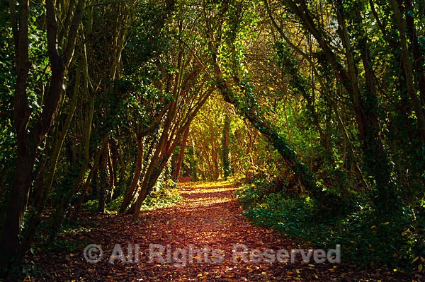 Autumn1089 - Seasonal Wales