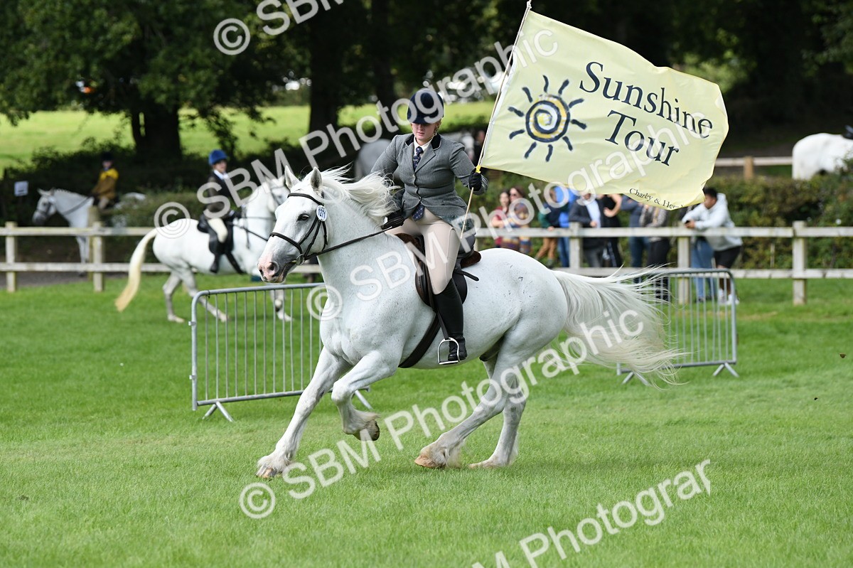 SBM_46907 - S12 - Family Horse & Pony
