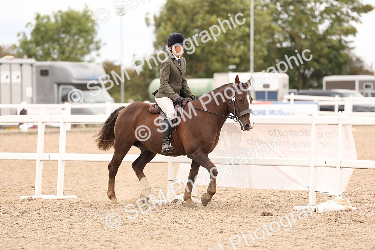 SBM_19524 - Class 215 - Ridden Show cob