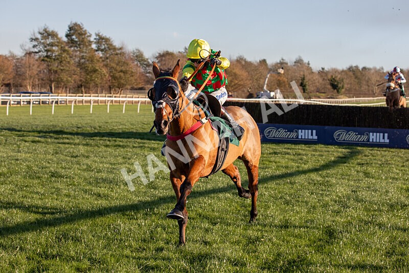 221124-Race 4-Duke Of Luckley--8578 - Race 4