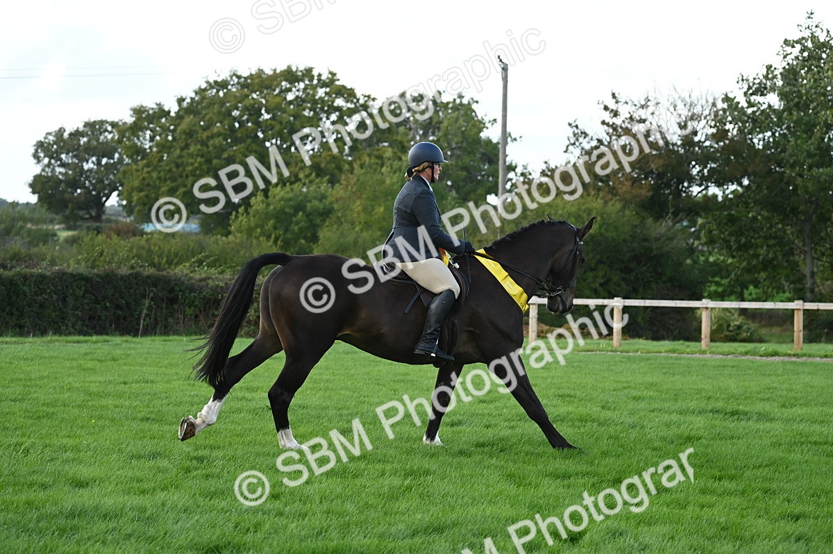 SBM_26504 - S6 - Novice & newcomer Ridden horse