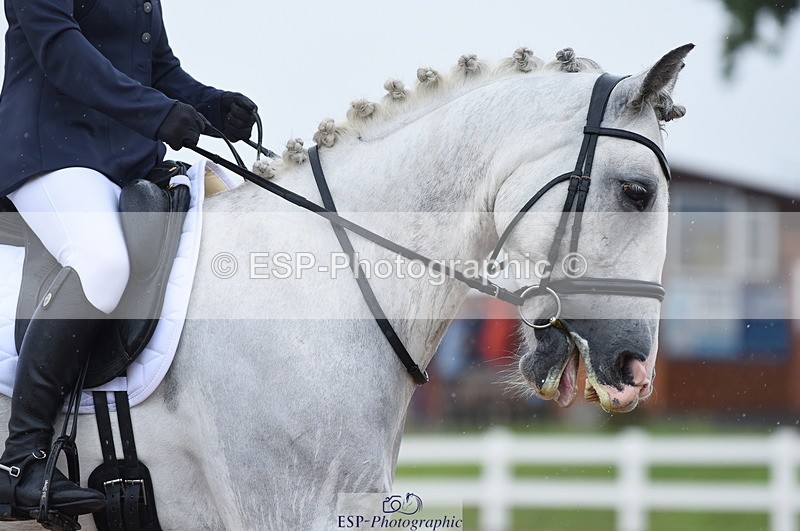 230708A-124056-01767 - Prelim 7