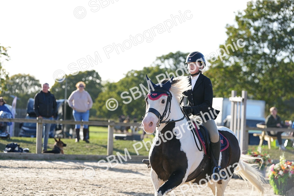 SBM_53672 - J8 - Junior Pony 65cm Championship