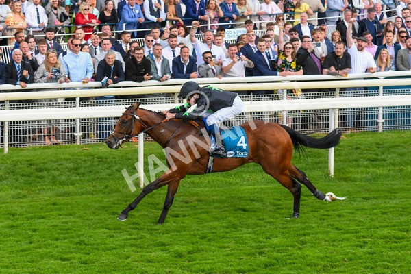 260823-Race 6-Inquisitively-0892 - Race 6 Julia Graves Roses Stakes at York